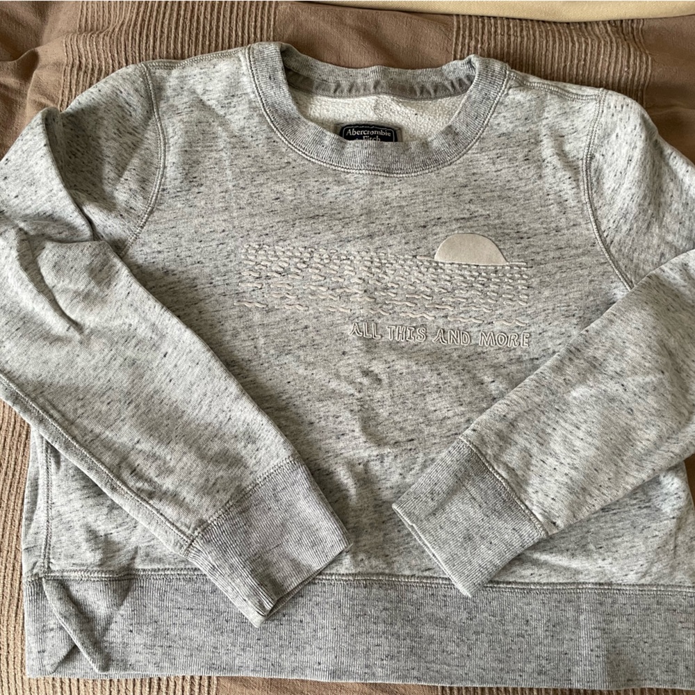 Abercrombie & Fitch Gray sweatshirt